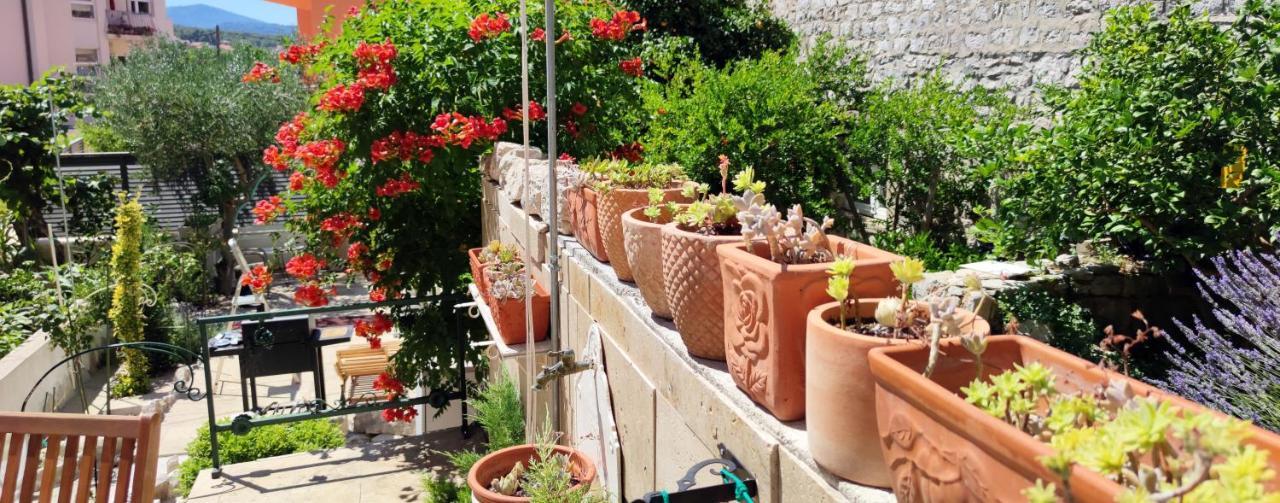 Apartment Alena + terrace + garden. Quiet center Jelsa  Exterior foto
